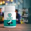 LVDY Hangover Tablet Bottle with 100% Natural Ingredients, Vegan and Free UK Shipping